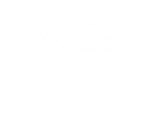 Architekten- und Ingenieurrecht