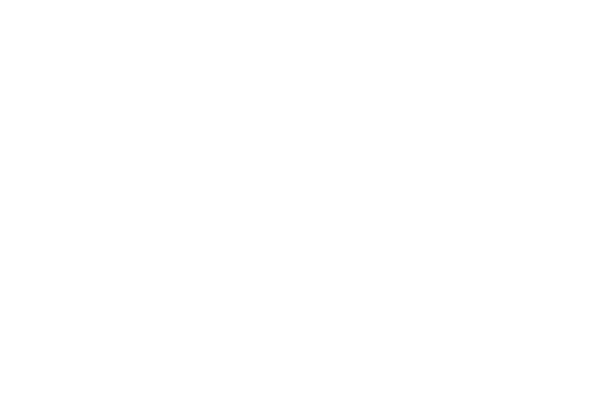 Projektentwicklungsrecht