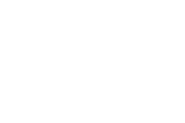 notarielles Berufsrecht, Pflichten des Notars vor, während, nach der Beurkundung : die Bundesnotarordnung (BNotO)