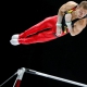 Chemnitzer Weltklasse Turner Andreas Bretschneider